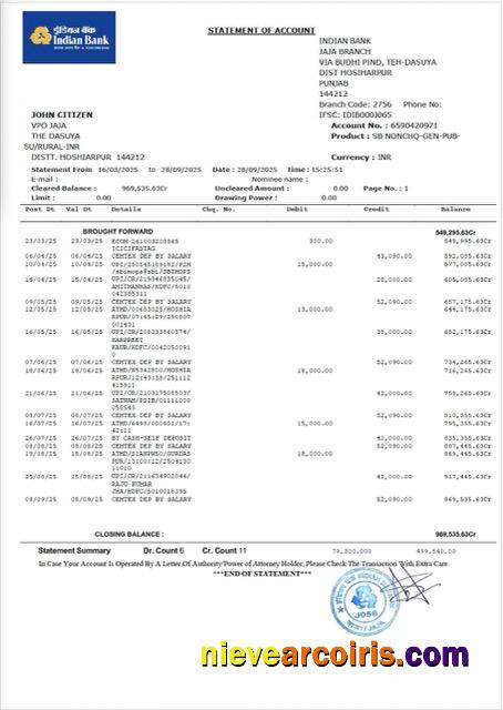 Indian Bank statement of account Word and PDF